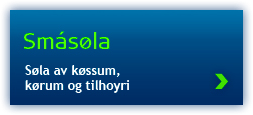 Smásøla